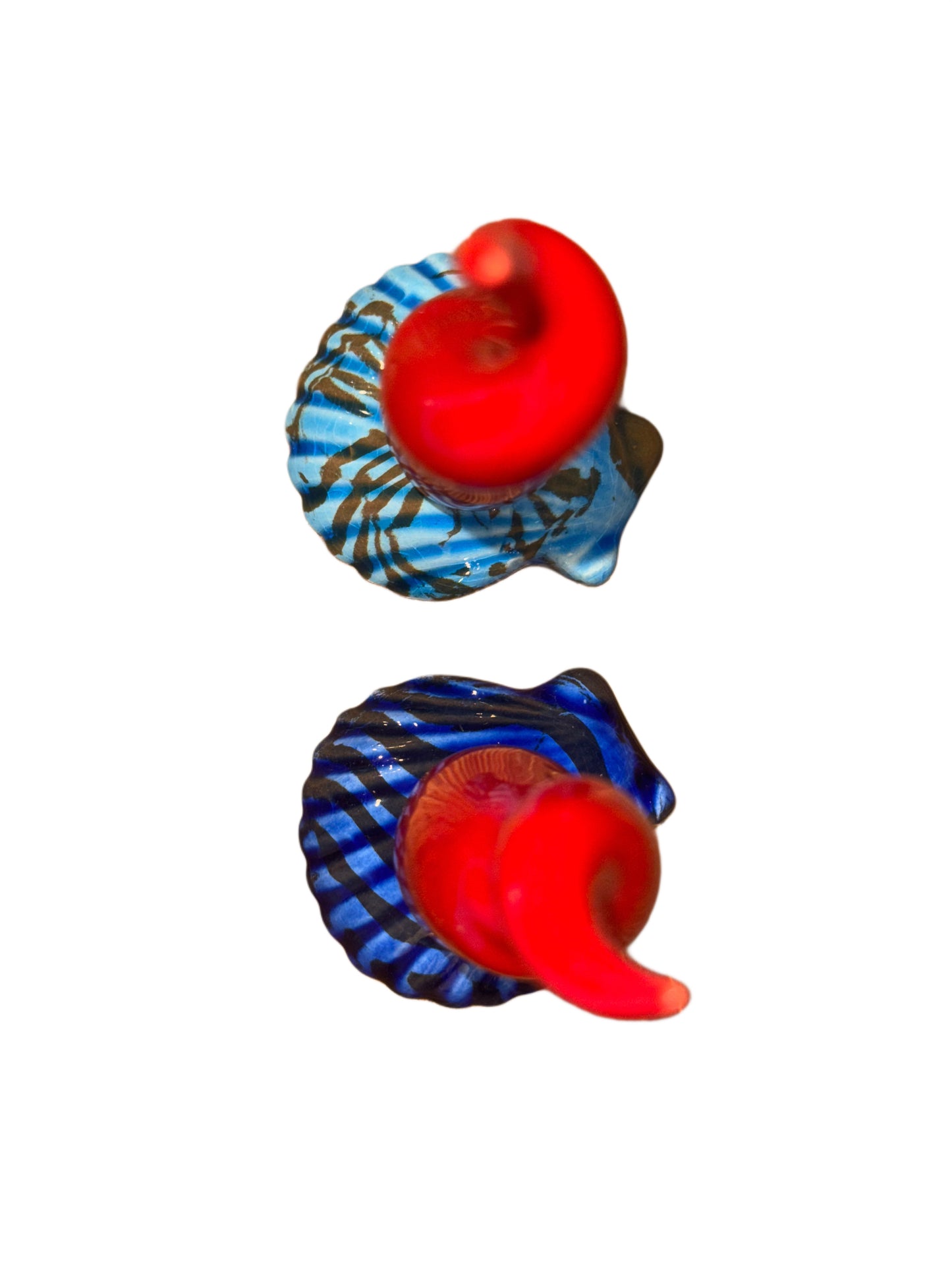 Corno Conchiglia 13cm