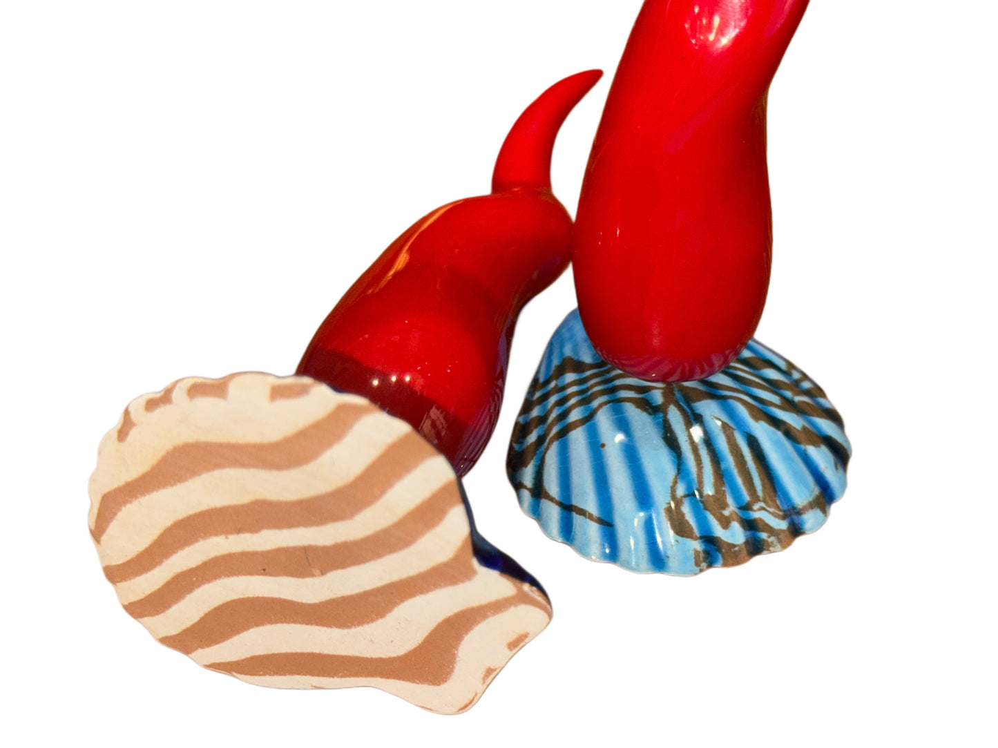Corno Conchiglia 13cm